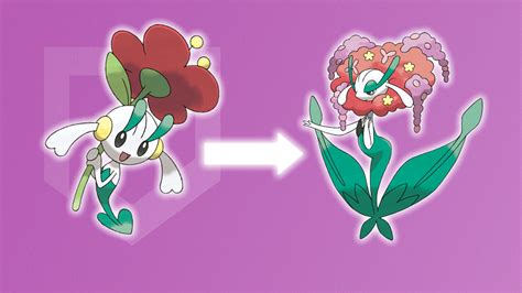 how to evolve floette in pokémon x|How to get a Shiny Stone and evolve Floette into Florges .